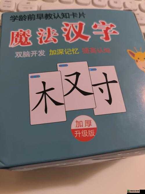汉字魔法文字游戏如何安装与配置?全面攻略揭秘悬念!